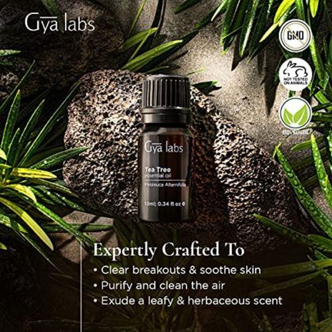 [Hàng Mỹ] Tinh dầu tràm trà Tea Tree Oil Gya Labs nguyên chất 10ml