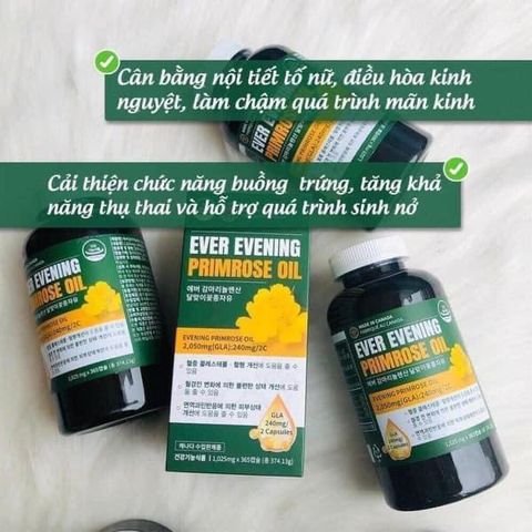 Viên uống tinh dầu hoa anh thảo Hàn Quốc Ever Evening Primrose Oil 365 viên - Hỗ trợ cân bằng nội tiết, làm đẹp da, sức khỏe nữ giới