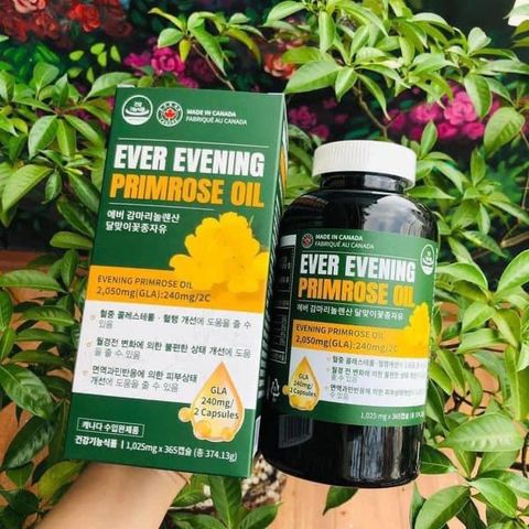 Viên uống tinh dầu hoa anh thảo Hàn Quốc Ever Evening Primrose Oil 365 viên - Hỗ trợ cân bằng nội tiết, làm đẹp da, sức khỏe nữ giới