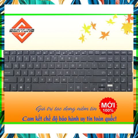 Bàn Phím Laptop ASUS TP500L US Layout - Thay Thế Chuẩn Chất Lượng Cao, Bảo Hành 9 Tháng, Dễ Thay Thế