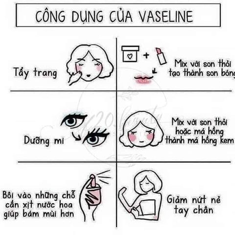 Sáp Dưỡng ẩm Môi Vaseline Ấn Độ 5.5g / 50g