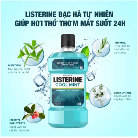 Bộ 2 Chai Nước Súc Miệng Listerine Diệt Khuẩn, Giữ Hơi Thở Thơm Mát Listerine Coolmint Mouthwash 750ml/Chai