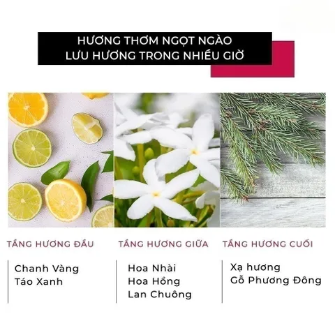 Kem Ủ Tóc Fino Premium Touch 230g – Dưỡng Ẩm, Phục Hồi Tóc Hư Tổn, Mềm Mượt Suôn Mượt