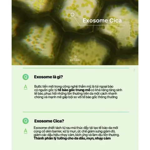 Bộ Line Dưỡng Medicube Exosome Cica – Làm Dịu, Giảm Mụn, Phục Hồi Da Nhạy Cảm, Dưỡng Ẩm, Căng Mịn