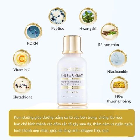 Kem Truyền Trắng Da Cindeltox Premium 50ml - Dưỡng Trắng An Toàn, Tăng Cường Độ Sáng, Phục Hồi Da, Dành Cho Mọi Loại Da