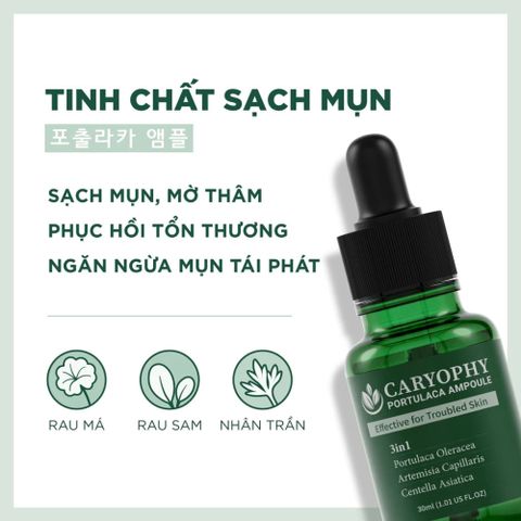 Tinh Chất Serum Caryophy Portulaca 30ml - Giảm Mụn, Làm Dịu Da, Cải Thiện Thâm Sẹo, Phù Hợp Mọi Loại Da
