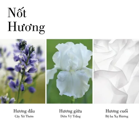 Nước Hoa Nữ Elizabeth Arden White Tea EDT Fullsize 100ml - Nữ Tính, Tinh Tế Và Lôi Cuốn