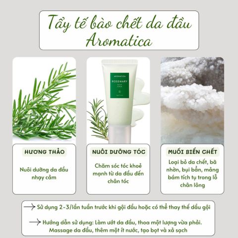 Tẩy Tế Bào Chết Da Đầu Hương Thảo Aromatica Rosemary 165g - Sạch Gàu, Giảm Ngứa, Dưỡng Ẩm Da Đầu Tự Nhiên, Không Kích Ứng