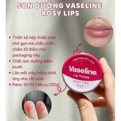Dưỡng Môi Vaseline Lip Therapy 20g - Giữ Ẩm Mềm Mại, Chống Nứt Nẻ Hiệu Quả, Dành Cho Mọi Loại Da Môi
