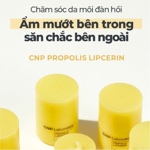 Son Dưỡng Môi CNP Propolis Lipcerin 15ml - Phục Hồi Khô Nứt, Giữ Ẩm 12 Giờ, Dưỡng Mềm Môi Từ Thiên Nhiên