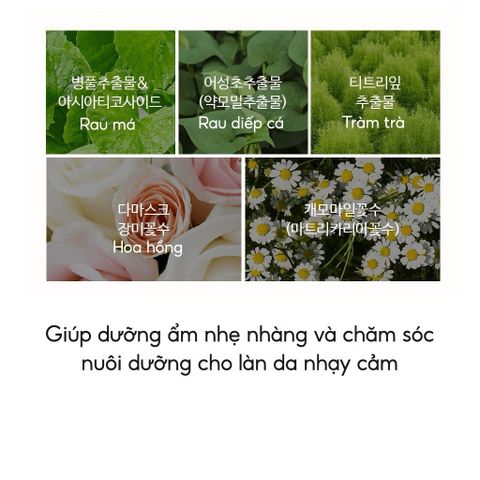 Kem Chống Nắng The Saem Eco Earth Power SPF50+ PA++++ 50ml - Dưỡng Ẩm, Nâng Tone, Bảo Vệ Da Tối Ưu cho Da Nhạy Cảm