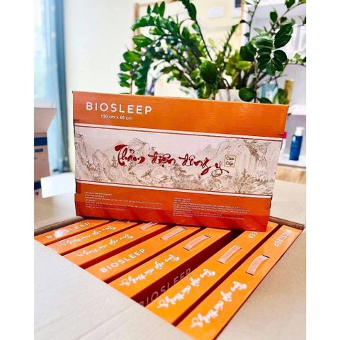 Thảm Gối Ngải Cứu Đông Y BIOSLEEP – Thư Giãn, Giữ Ấm, Giảm Đau Mỏi, Nhập Khẩu Chính Hãng 388346