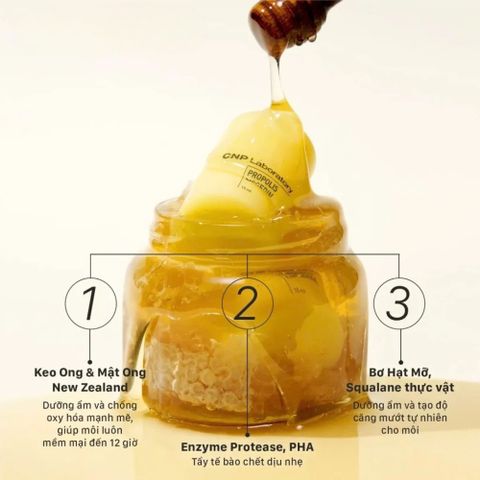 Bộ Đôi Dưỡng Da Tay & Môi CNP Propolis – Giải Pháp Cấp Ẩm & Phục Hồi Toàn Diện 388360