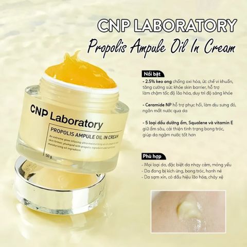 Kem Dưỡng Ẩm CNP Propolis Ampule Oil In Cream 50g - Cấp Ẩm Sâu, Phục Hồi Da Yếu Từ Hàn Quốc, Dưỡng Ẩm Chuyên Sâu, Giữ Ẩm Suốt Ngày