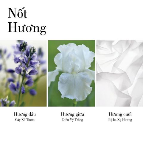 Kem Dưỡng Thể Elizabeth Arden White Tea Pure Indulgence 400ml – Dưỡng Ẩm, Thơm Dịu, Mềm Mịn Da 388490
