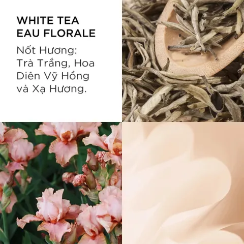 Nước Hoa Nữ Elizabeth Arden White Tea EDT Fullsize 100ml - Nữ Tính, Tinh Tế Và Lôi Cuốn 388573