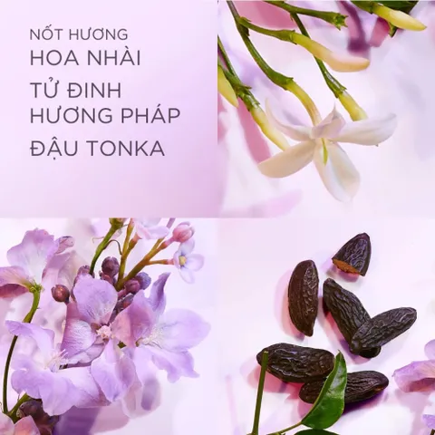 Nước Hoa Nữ Elizabeth Arden White Tea EDT Fullsize 100ml - Nữ Tính, Tinh Tế Và Lôi Cuốn 388573