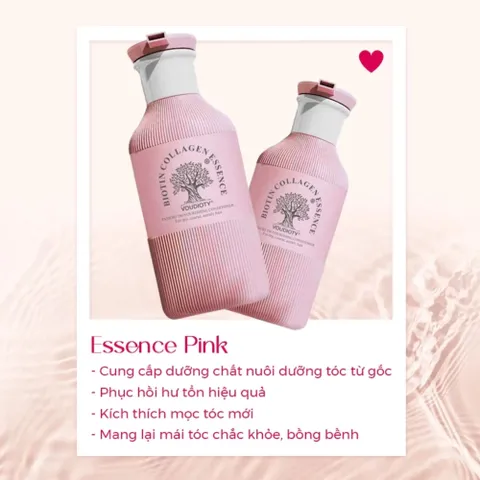 Dầu Gội Xả Biotin Collagen Essence Hương Nước Hoa 500ml – Phục Hồi Siêu Cấp Tóc Hư Tổn 500ml 388726