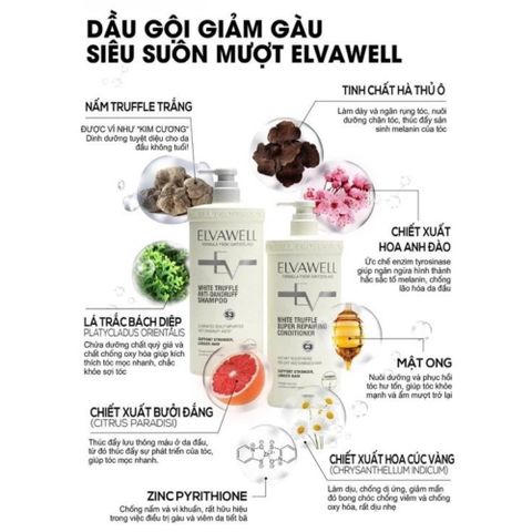 Bộ Dầu Gội Xả Nấm Truffle Elvawell 1000ml - Giảm Gàu, Kiểm Soát Dầu Bết, Phục Hồi Tóc Hư Tổn, Dưỡng Mềm Mượt