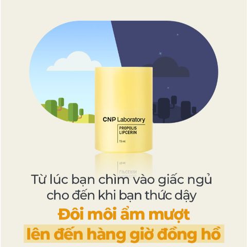 Son Dưỡng Môi Keo Ong CNP Propolis Lipcerin 15ml - Phục Hồi, Giữ Ẩm Lâu 12 Giờ, Dưỡng Mềm Môi Khô, Nứt Nẻ, An Toàn Cho Da Môi