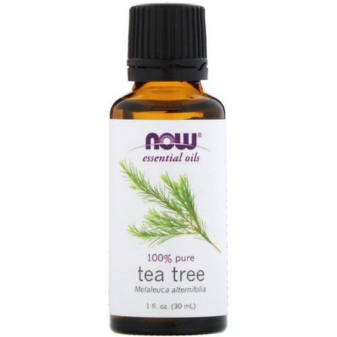 [Date 4/2025] Tinh dầu tràm trà Now Organic Essential Oils Tea Tree 30ml 389321