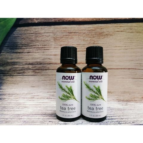 [Date 4/2025] Tinh dầu tràm trà Now Organic Essential Oils Tea Tree 30ml 389321