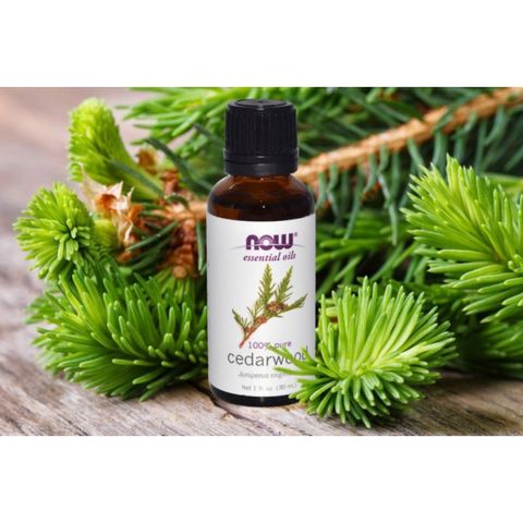 Tinh Dầu Gỗ Cây Tuyết Tùng (Hoàng Đàn) Now Foods Essential Oils Cedarwood 30ml 389370