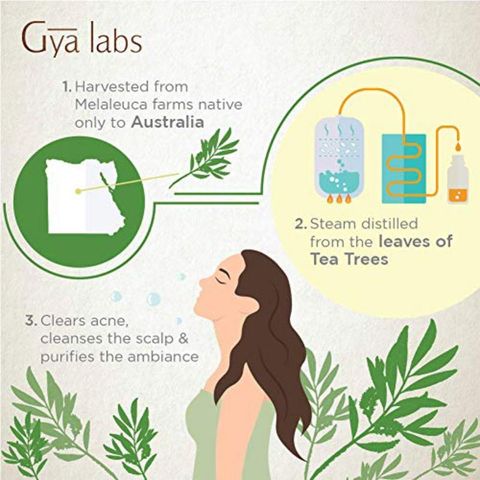 [Hàng Mỹ] Tinh dầu tràm trà Tea Tree Oil Gya Labs nguyên chất 10ml 389389