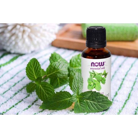 [Date 8/24] Tinh Dầu Bạc Hà Now Essential Oils Peppermint 30ml 389402