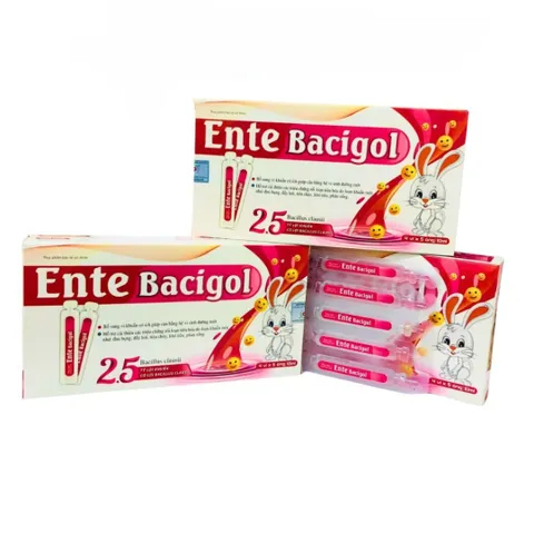 Men Vi Sinh Ente Bacigol 2.5 Tỷ Lợi Khuẩn - Hỗ Trợ Tiêu Hóa, Cải Thiện Hệ Ruột - Hộp 20 Ống Probiotic Cho Người Lớn