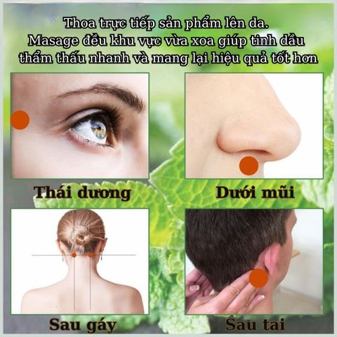 Dầu Bạc Hà Dạng Lăn 12ml - Tinh Dầu Nguyên Chất Giúp Giảm Đau, Mỏi Cơ Và Căng Thẳng, Thư Giãn Ngủ Ngon Hơn