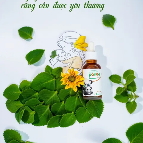 Tinh Dầu Húng Chanh Panda Thanh Mộc Hương 30ml - Giảm Ho, Sổ Mũi, Tăng Đề Kháng Cho Bé, Hỗ Trợ Miễn Dịch Tự Nhiên