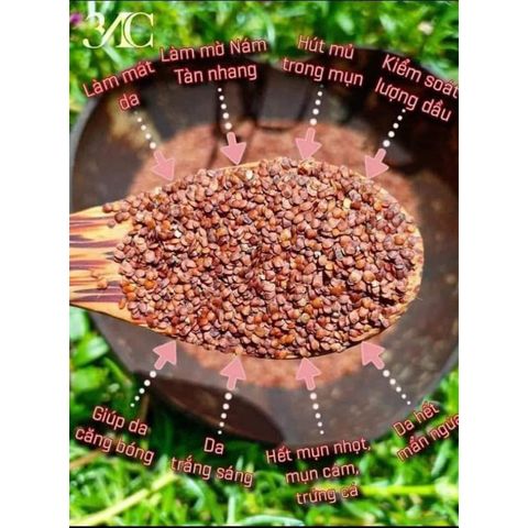 Mặt Nạ Ngũ Hoa Giúp Giảm Mụn, Làm Sáng Da, Thu Nhỏ Lỗ Chân Lông - Sản Phẩm Thiên Nhiên Cho Da Mụn, Hiệu Quả Cao