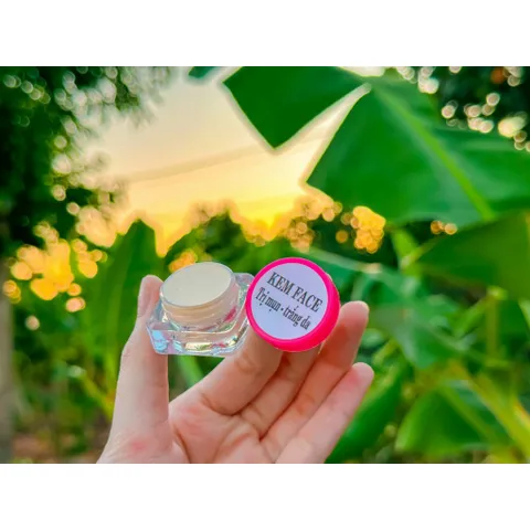 Combo 10 Lọ Kem Face Nha Đam Ngừa Mụn Trắng Da Dưỡng Handmade 20gr - Giúp Da Đẹp Sáng Mịn, Sạch Mụn