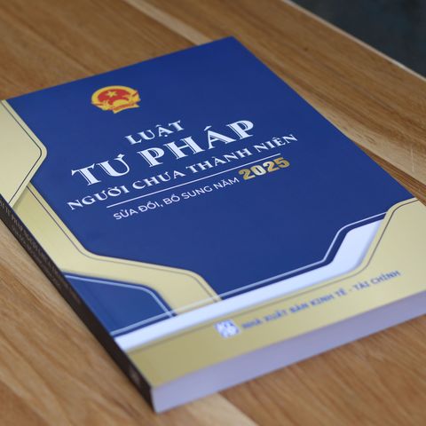 Luật Tư pháp Người Chưa Thành Niên 2025 - Sách Hướng Dẫn Quy Định Hình Sự và Thủ Tục Tố Tụng Đối Với Người Dưới 18 Tuổi