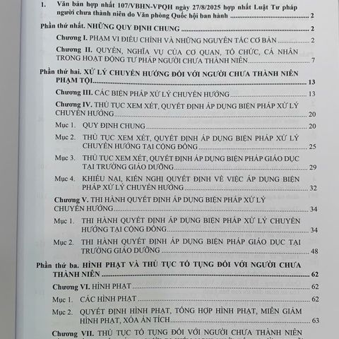 Luật Tư pháp Người Chưa Thành Niên 2025 - Sách Hướng Dẫn Quy Định Hình Sự và Thủ Tục Tố Tụng Đối Với Người Dưới 18 Tuổi