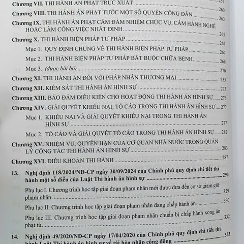 Luật Tư pháp Người Chưa Thành Niên 2025 - Sách Hướng Dẫn Quy Định Hình Sự và Thủ Tục Tố Tụng Đối Với Người Dưới 18 Tuổi