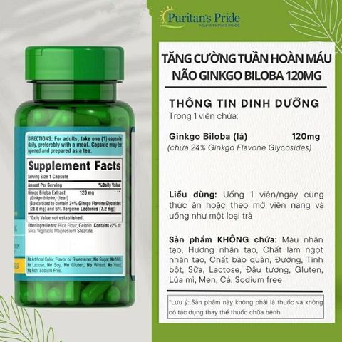 Viên uống bổ não Ginkgo Biloba 120mg Puritan's Pride - Hỗ trợ tuần hoàn não, tăng cường trí nhớ, giảm chóng mặt, đau đầu
