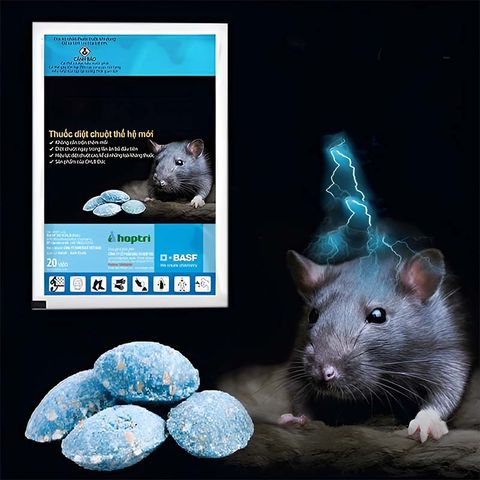 Thuốc Diệt Chuột Storm 0.005% - Combo 1 Hộp 5 Gói (20 Viên/Gói) - Hiệu Quả Cao, Không Cần Trộn Mồi, An Toàn Cho Người Và Vật Nuôi