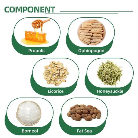 Chai Xịt Nhiệt Miệng Thảo Mộc - Giảm Đau, Ngăn Ngừa Lở Miệng và Loét Miệng - Kháng Khuẩn Tự Nhiên An Toàn cho Răng Miệng