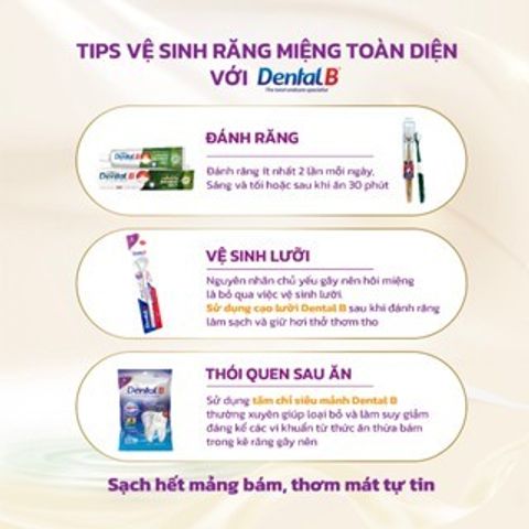 Combo 2 Bàn Chải Đánh Răng Dental B Cao Cấp Siêu Mềm - Chống Viêm Lợi, Sạch Mảng Bám, Hơi Thở Thơm Mát