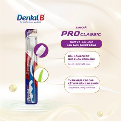 Combo 2 Bàn Chải Đánh Răng Dental B Cao Cấp Siêu Mềm - Chống Viêm Lợi, Sạch Mảng Bám, Hơi Thở Thơm Mát
