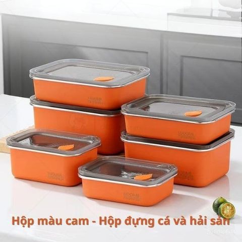Hộp Inox Nắp Nhựa Dẻo Nhiều Màu Chọn Lựa - Tổ Chức Đồ Gia Dụng Nhà Bếp, Chất Lượng Cao (TV1308)