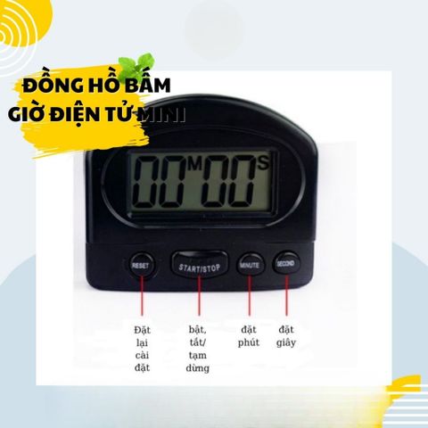 Đồng hồ bấm giờ 331 (TV1414)