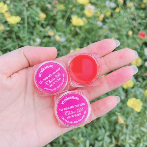 Dưỡng Môi Collagen Thiên Di - Khử Thâm, Dưỡng Hồng, Làm Mềm Mịn Môi, Chống Nắng Bảo Vệ Tia UV, Hiệu Quả Dài Lâu