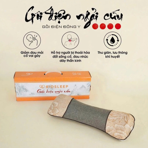 Thảm Gối Ngải Cứu Đông Y BIOSLEEP – Thư Giãn, Giữ Ấm, Giảm Đau Mỏi, Nhập Khẩu Chính Hãng 388346