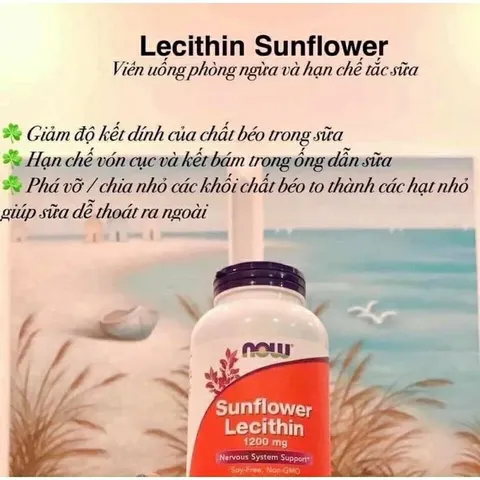 [ Date 2028] Viên uống chống tắc tia sữa Now Sunflower Lecithin 1200mg