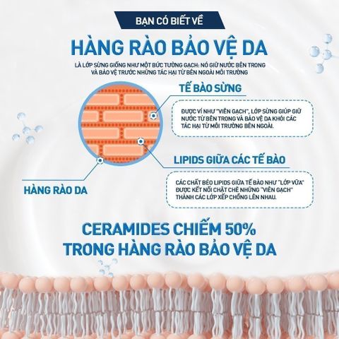 Kem Dưỡng Ẩm Phục Hồi Cerave Moisturising 50ml – Dưỡng Ẩm 48H, Làm Mịn Da, Tăng Cường Bảo Vệ Da