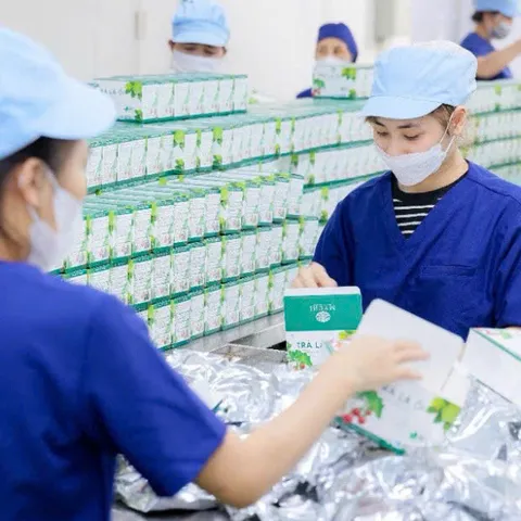 Trà Lá Ổi MyCHi 30 Túi Lọc - Hỗ Trợ Giảm Cân, Tiêu Hóa Tốt, Ngủ Ngon, Giàu Vitamin Từ Thiên Nhiên, Sản Phẩm Việt Nam