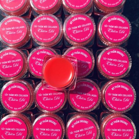 Tẩy Thâm Môi Collagen Thiên Di - Dưỡng Môi Hồng Tự Nhiên, Chống Lão Hóa, Chống Nắng, 8gr, Giúp Môi Luôn Hồng Hào, FREESHIP Toàn Quốc